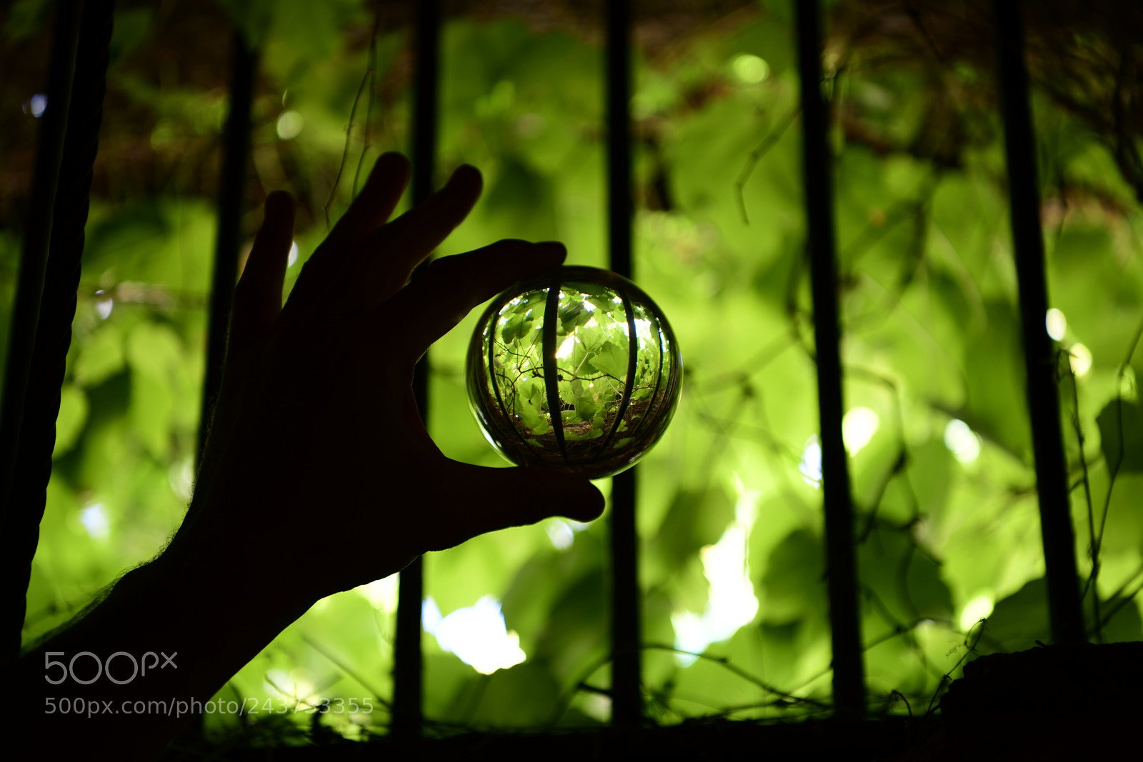 Nikon D850 sample photo. Untitled photography