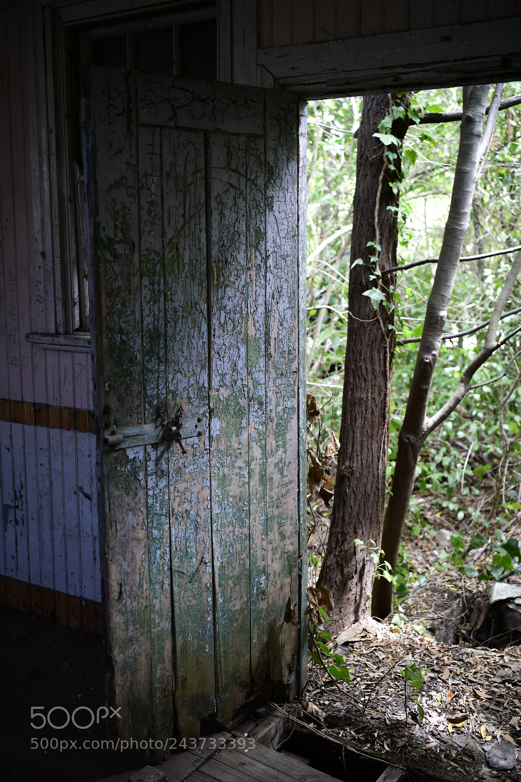 Nikon D850 sample photo. Untitled photography