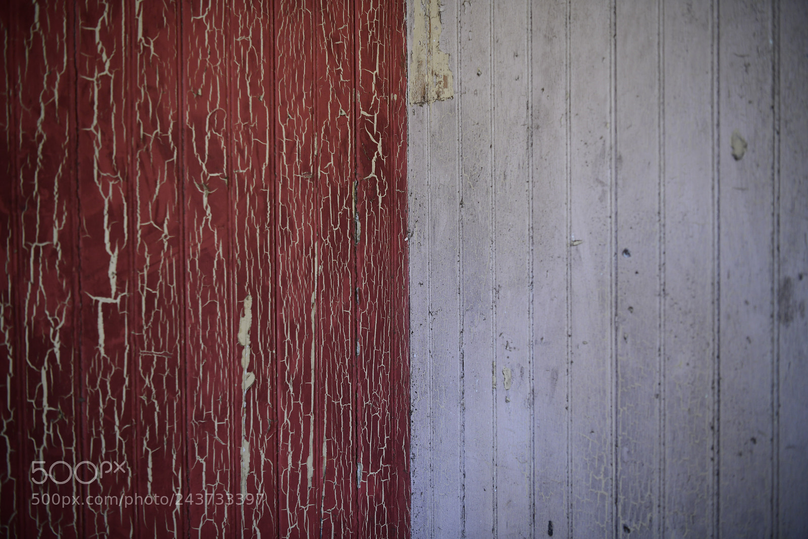 Nikon D850 sample photo. Untitled photography