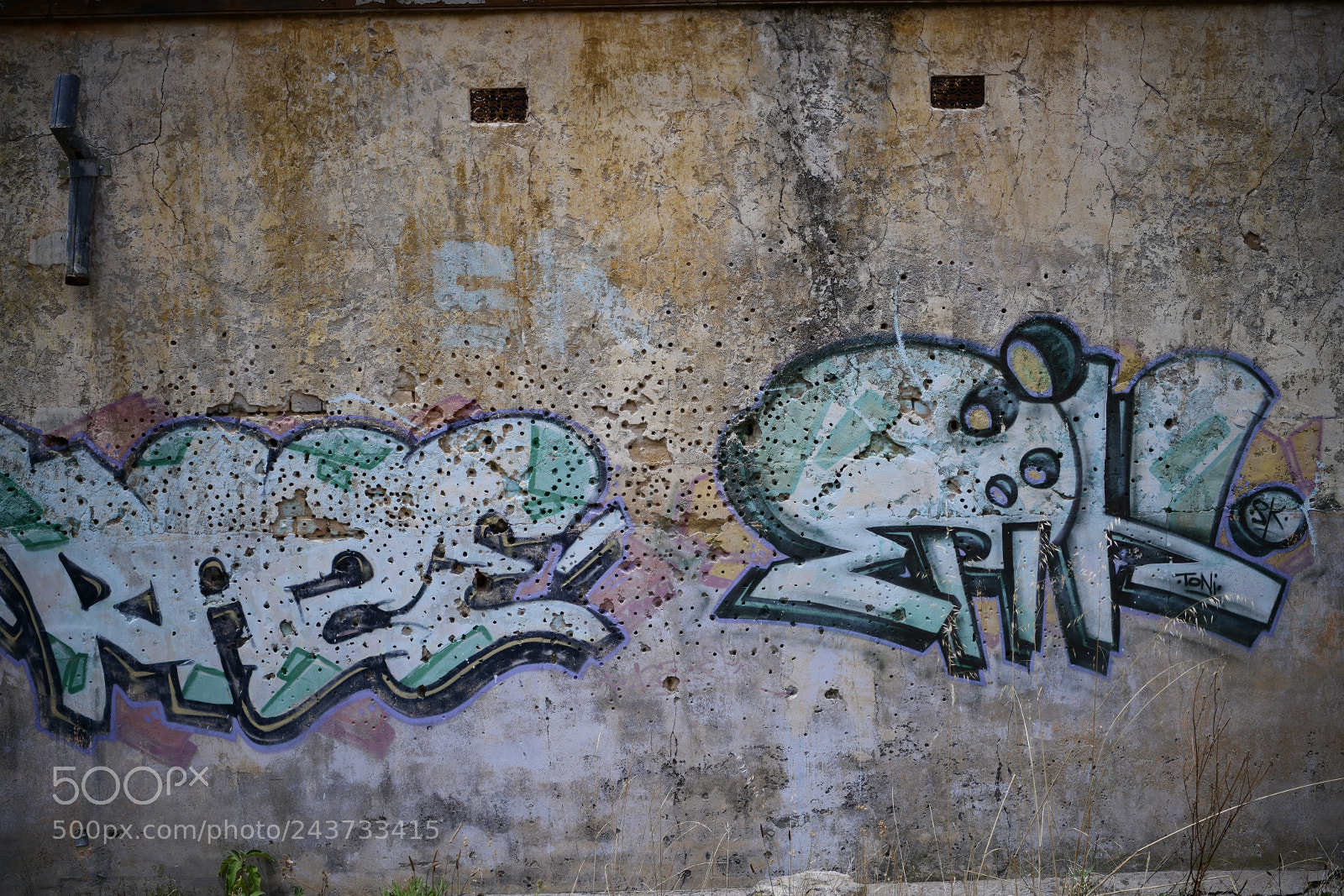 Nikon D850 sample photo. Untitled photography
