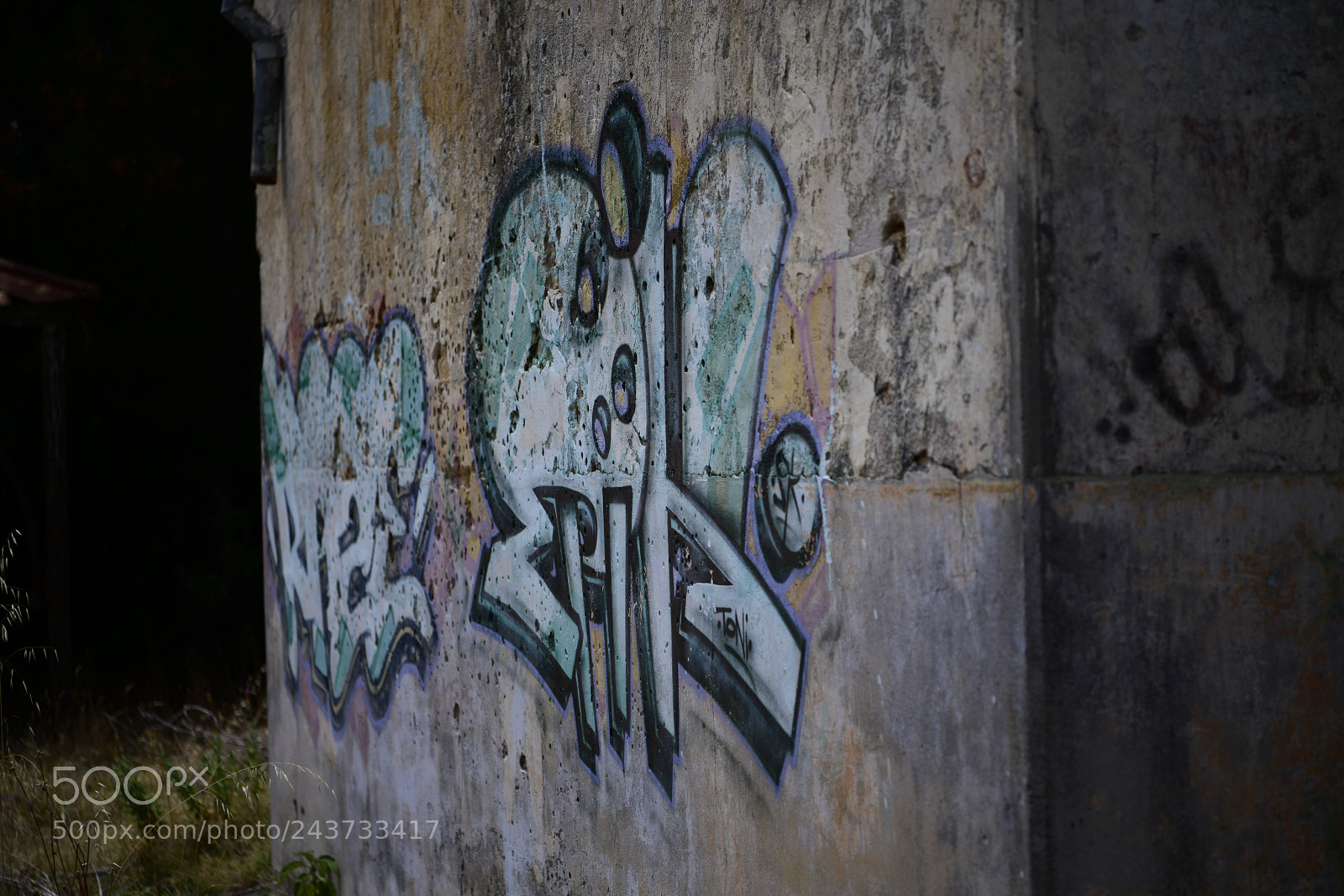Nikon D850 sample photo. Untitled photography