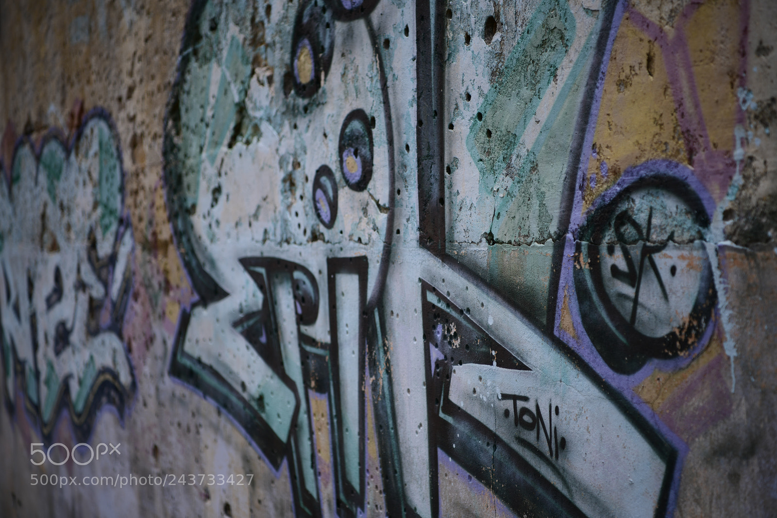 Nikon D850 sample photo. Untitled photography