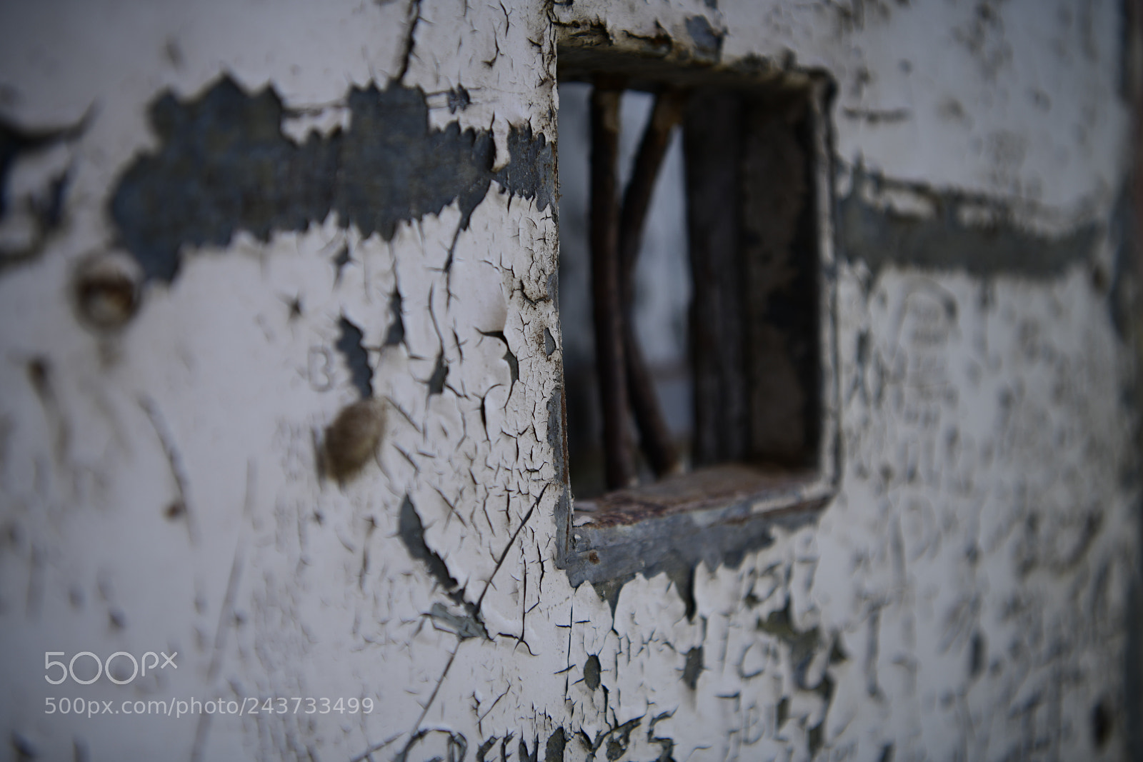 Nikon D850 sample photo. Untitled photography
