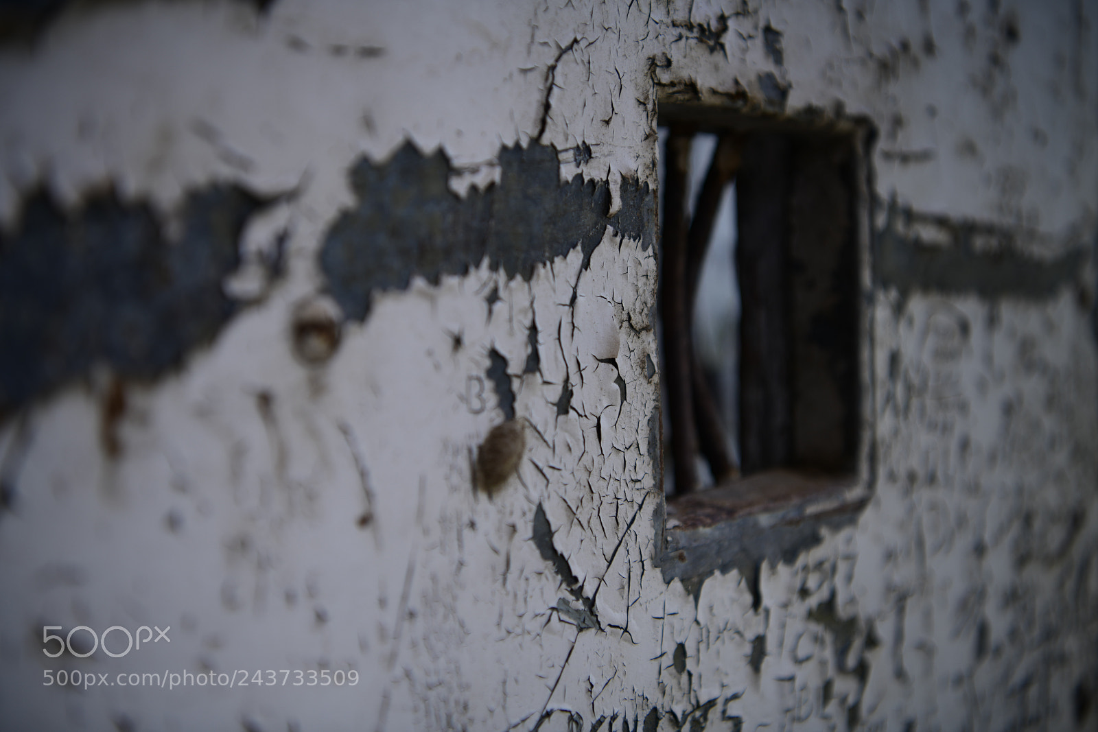 Nikon D850 sample photo. Untitled photography