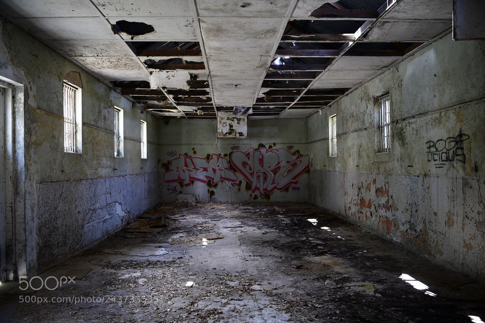 Nikon D850 sample photo. Untitled photography