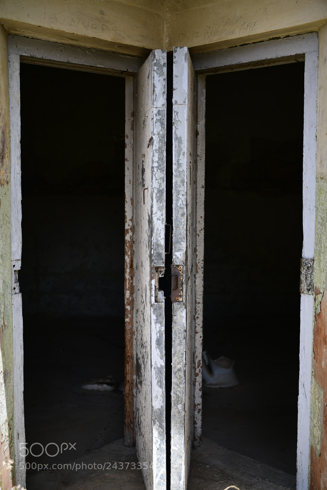 Nikon D850 sample photo. Untitled photography