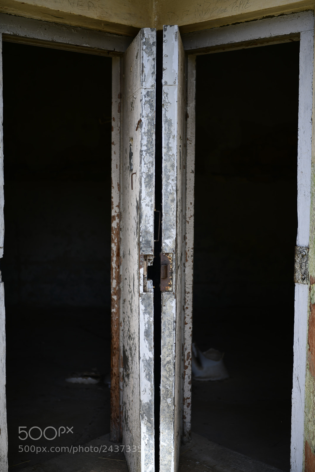 Nikon D850 sample photo. Untitled photography