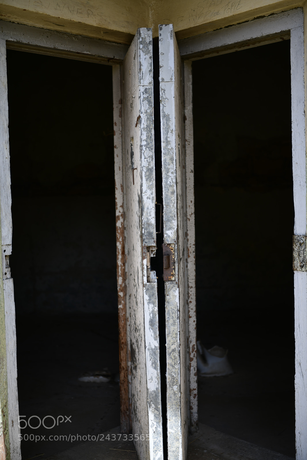 Nikon D850 sample photo. Untitled photography