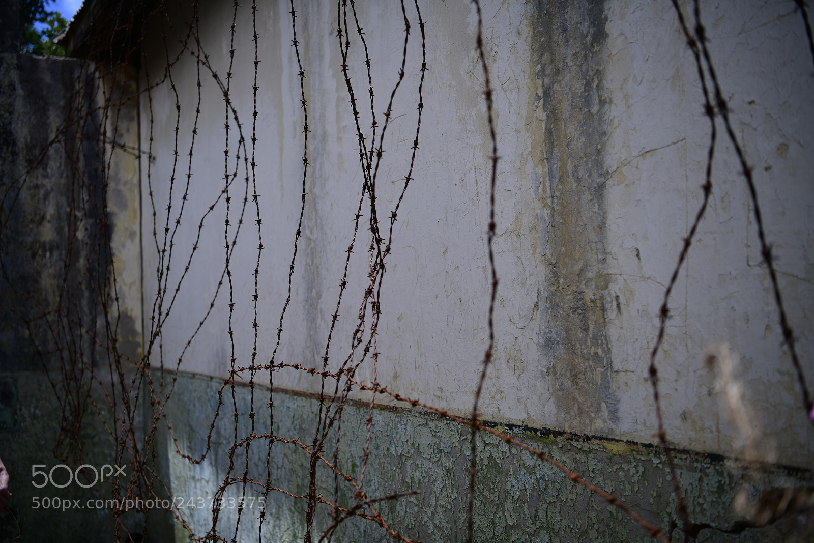 Nikon D850 sample photo. Untitled photography