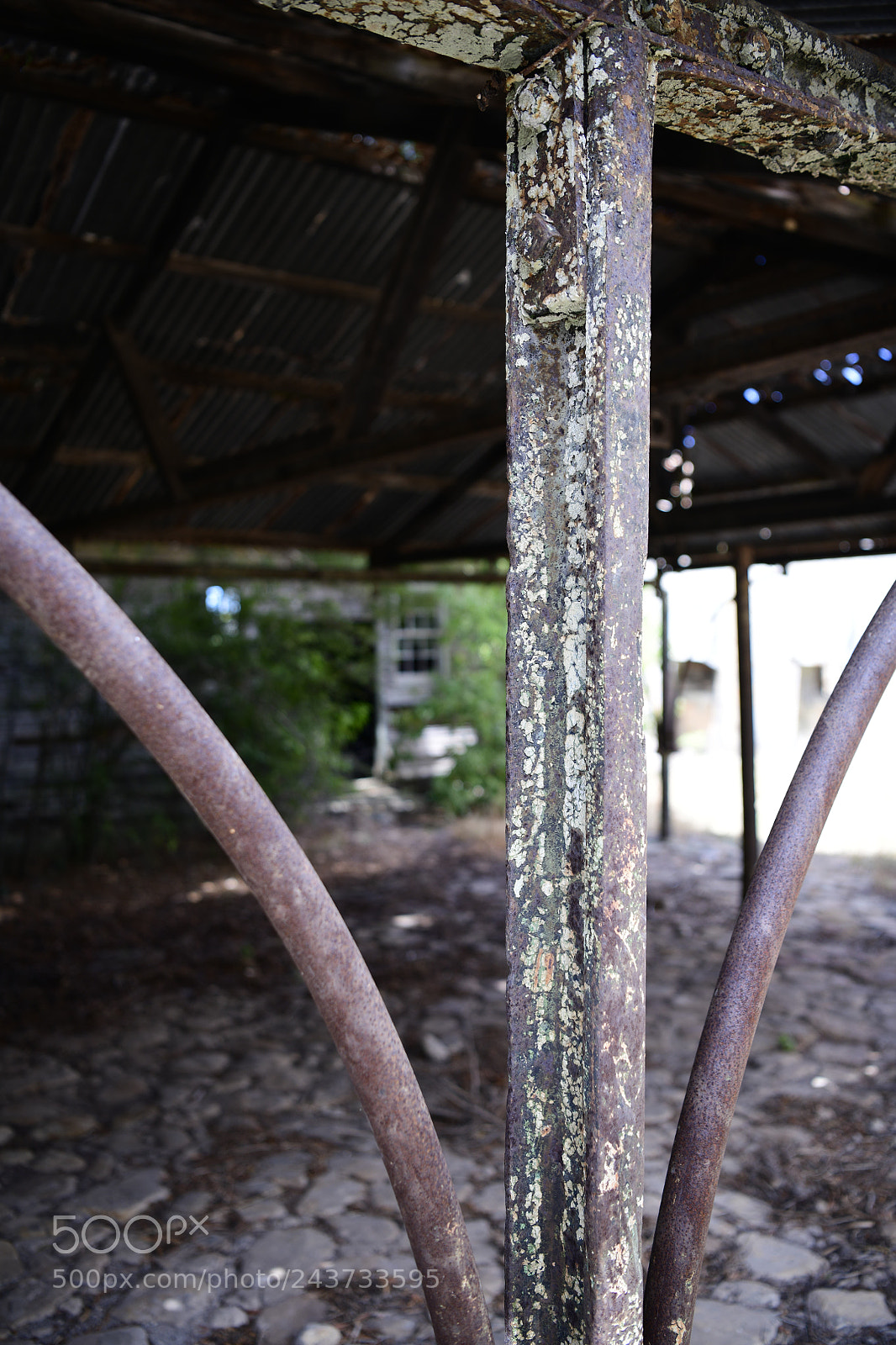 Nikon D850 sample photo. Untitled photography