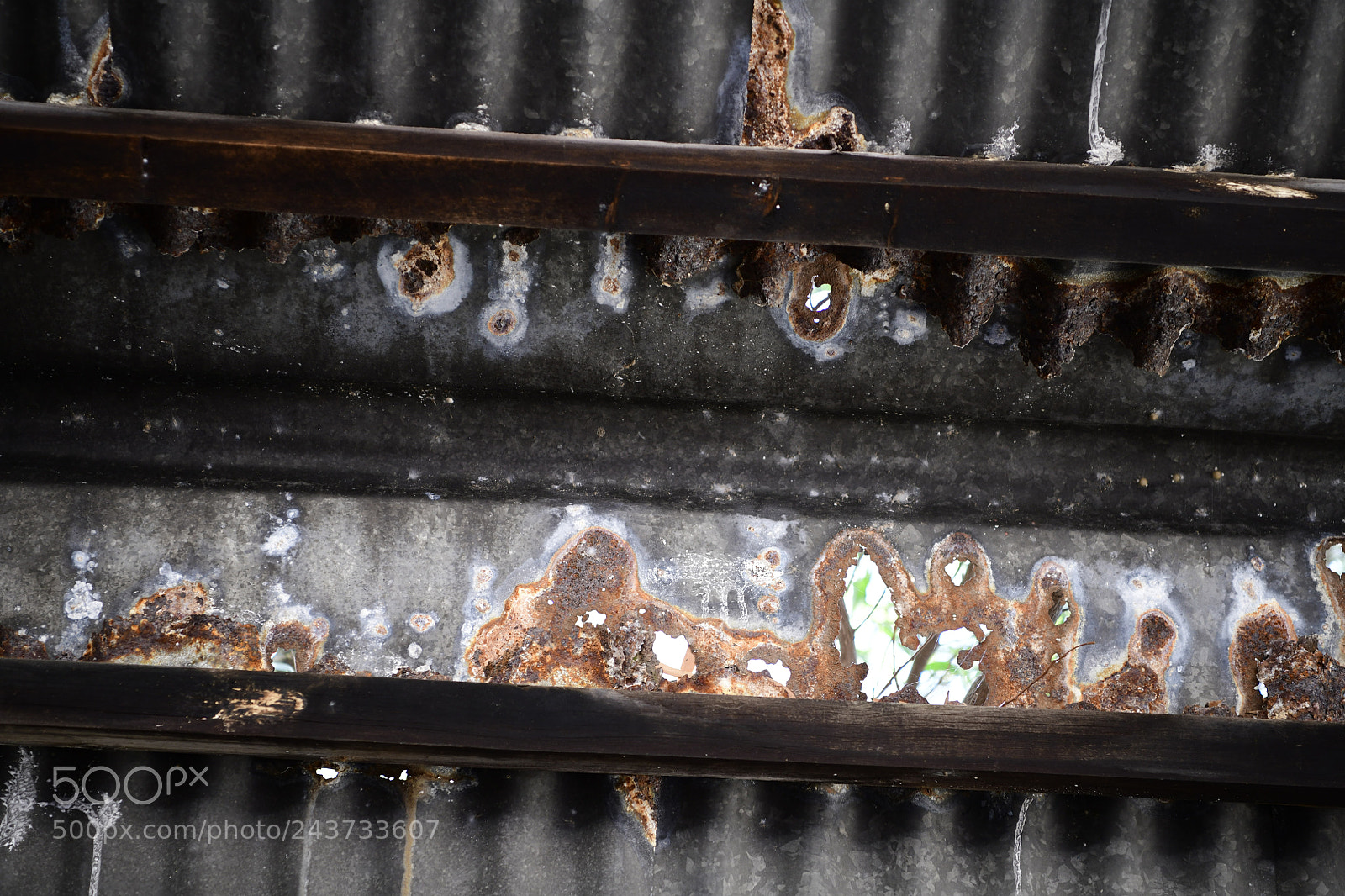 Nikon D850 sample photo. Untitled photography