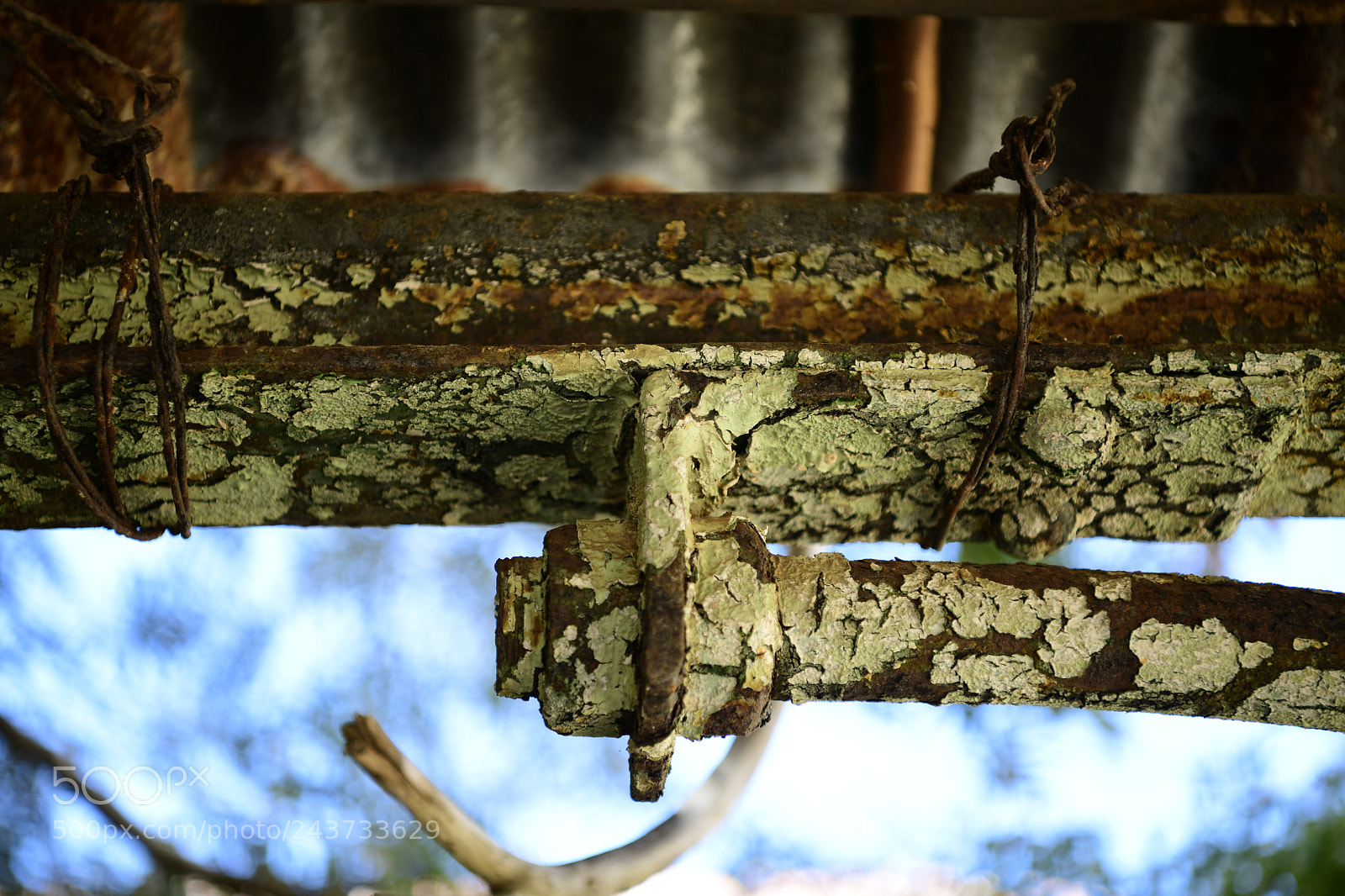Nikon D850 sample photo. Untitled photography
