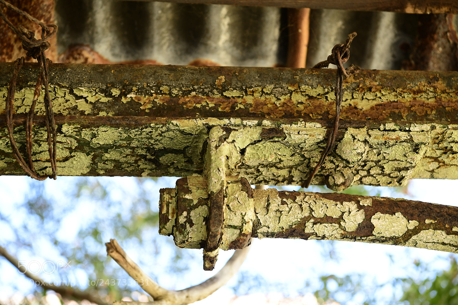 Nikon D850 sample photo. Untitled photography