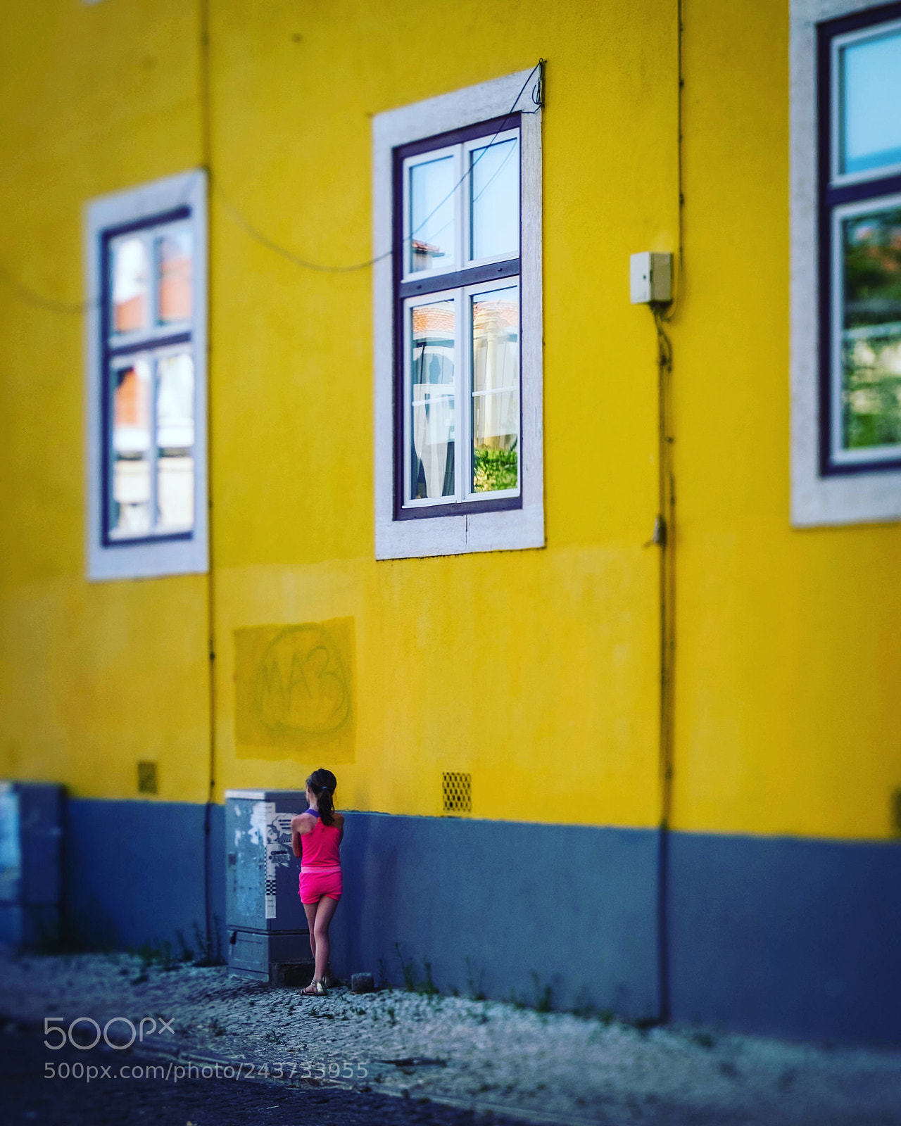 Fujifilm X-T10 sample photo. Stubborn photography