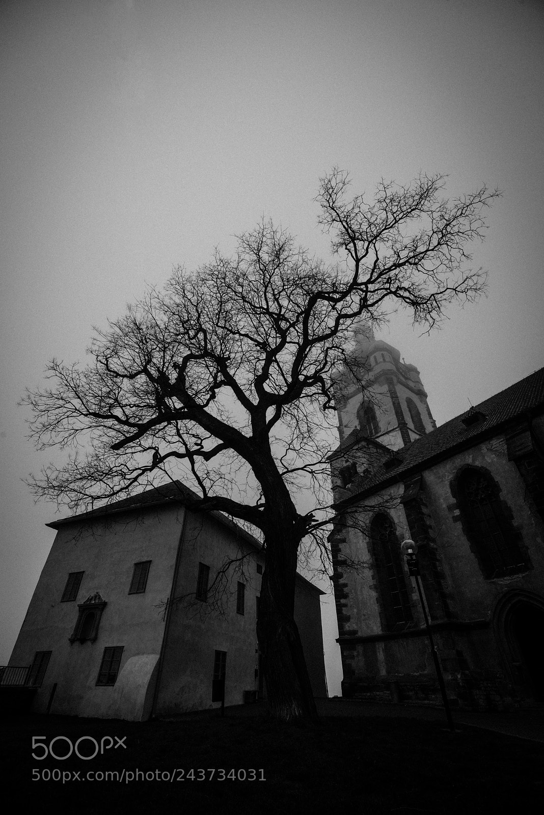 Nikon D600 sample photo. Silent hill photography