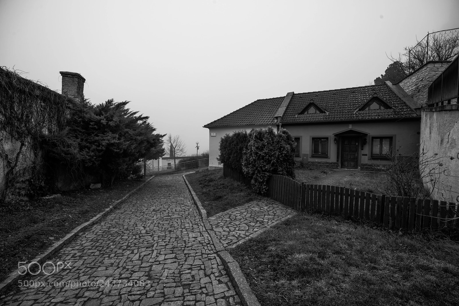 Nikon D600 sample photo. Melnik photography