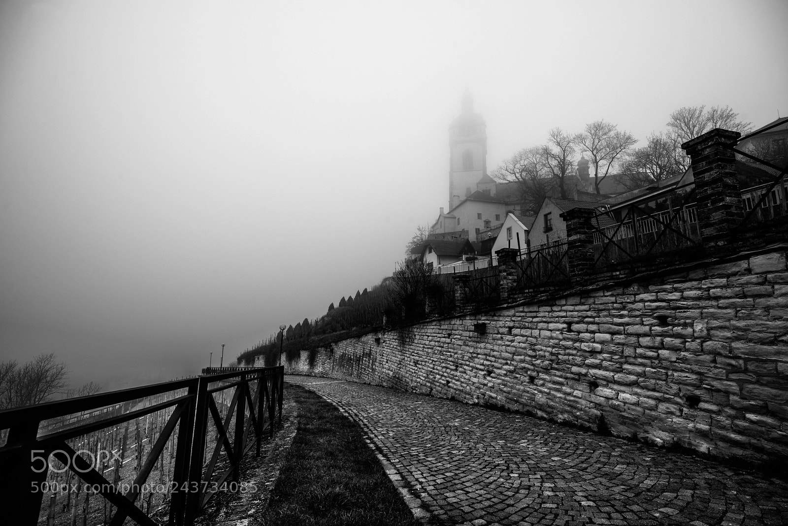 Nikon D600 sample photo. Melnik photography
