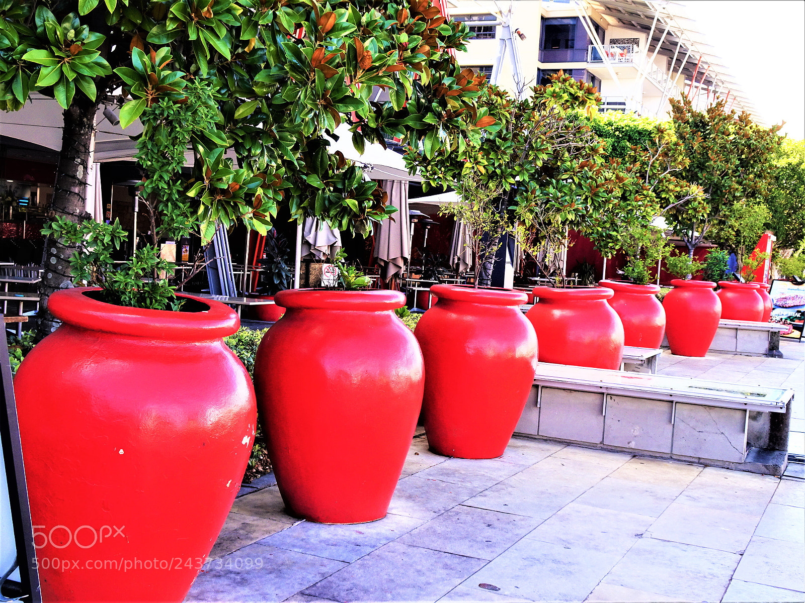 Sony Cyber-shot DSC-HX90V sample photo. Flower pot photography