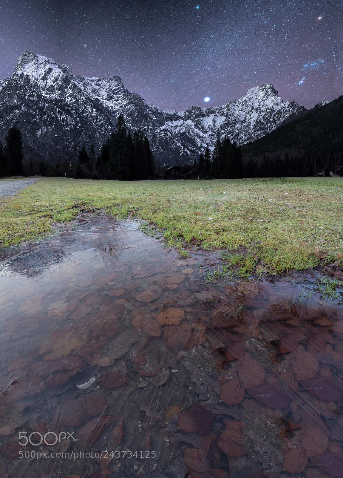 Nikon D600 sample photo. Almsee photography