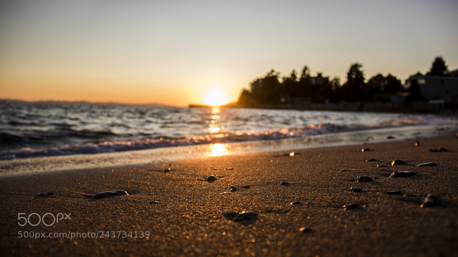Canon EOS 7D Mark II sample photo. Last wave photography