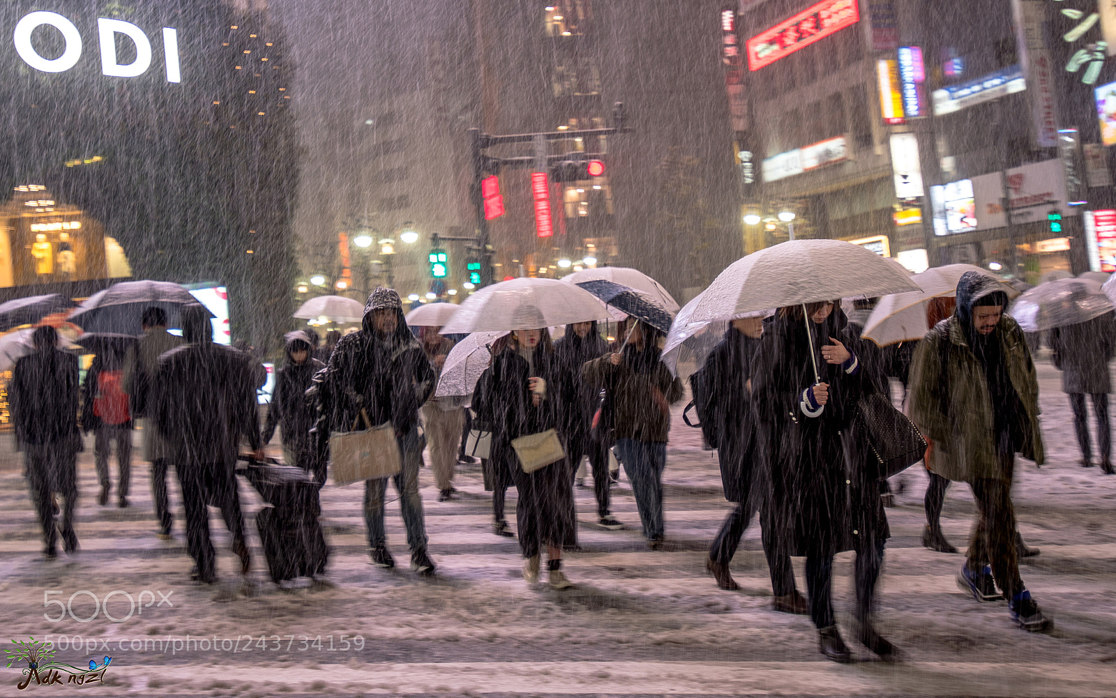 Nikon D810 sample photo. Snow in tokyo photography