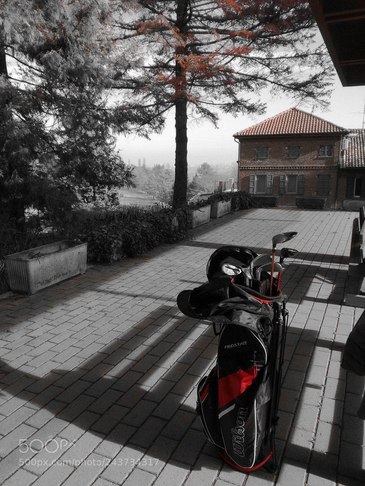 HUAWEI P9 LITE sample photo. Golf photography