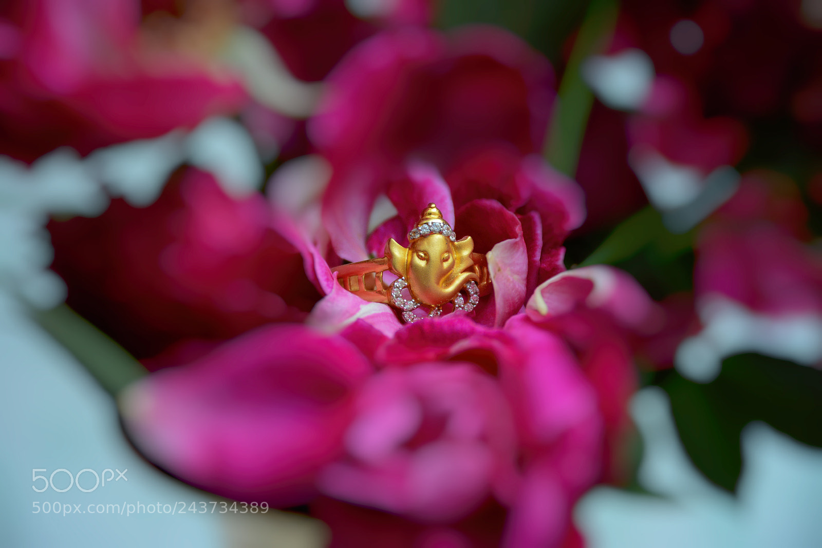 Nikon D7100 sample photo. Copy photography