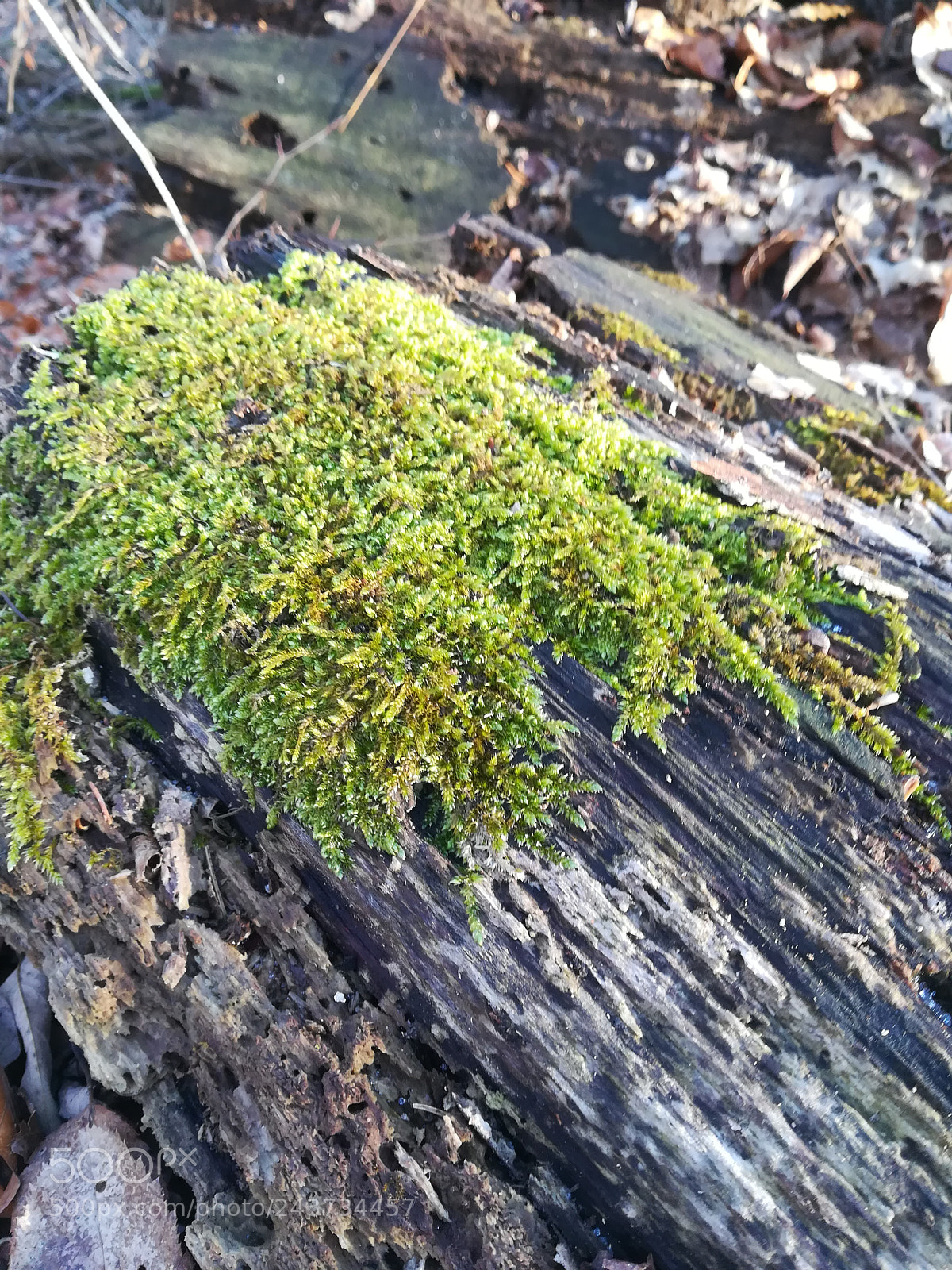 HUAWEI PRA-LX1 sample photo. Untitled photography