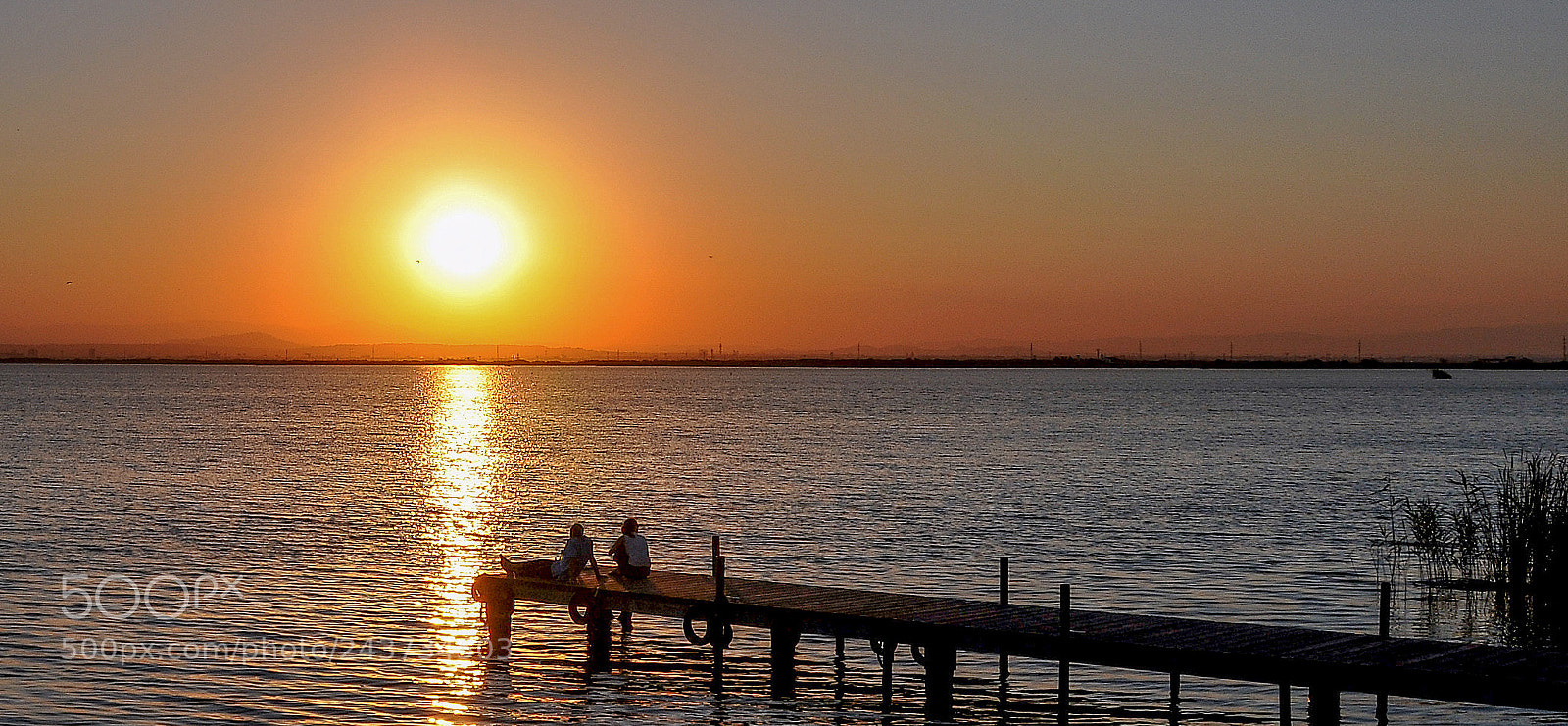 Nikon D300 sample photo. Atardecer en la albufera photography