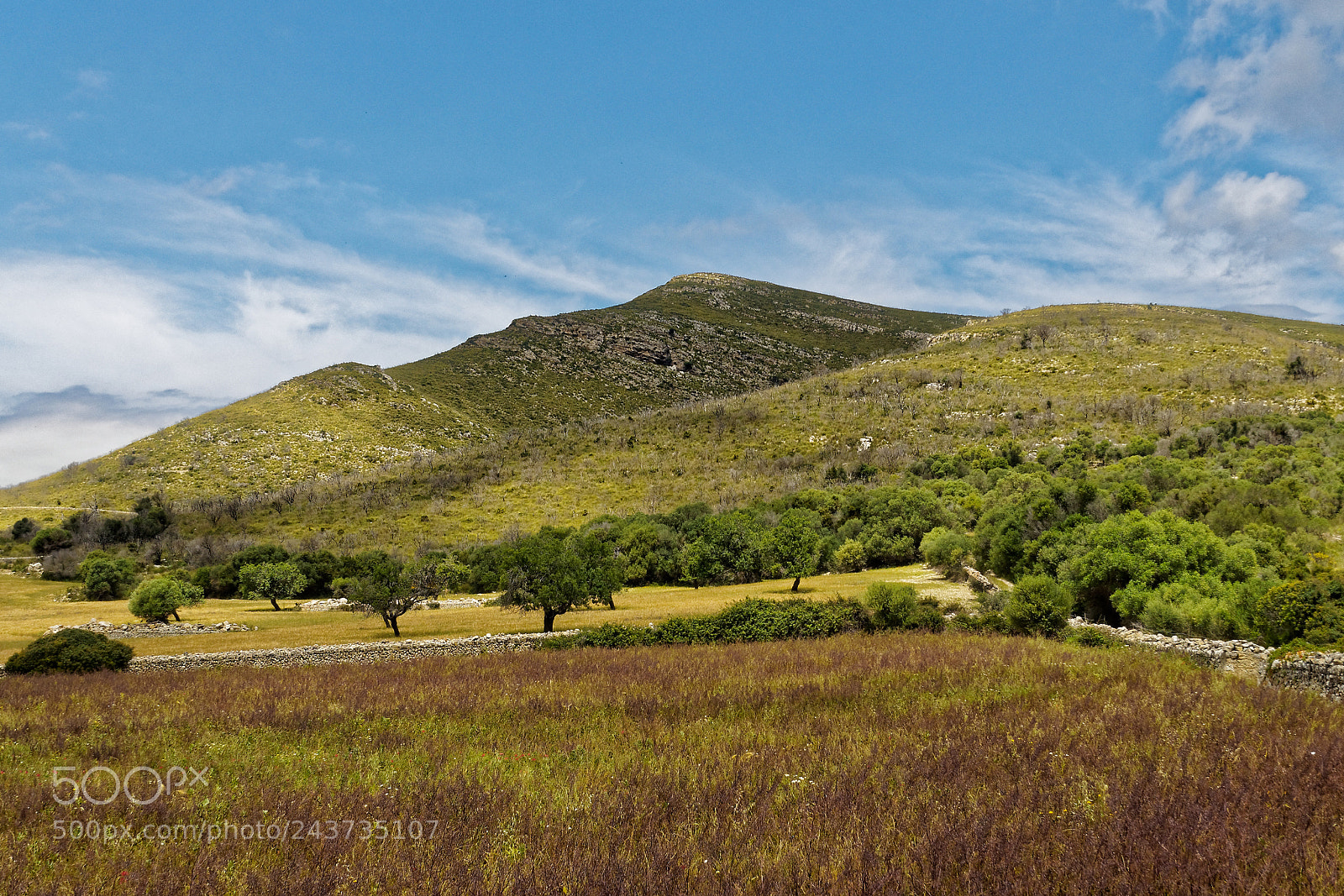 Olympus OM-D E-M10 sample photo. Landscape in the sierra photography