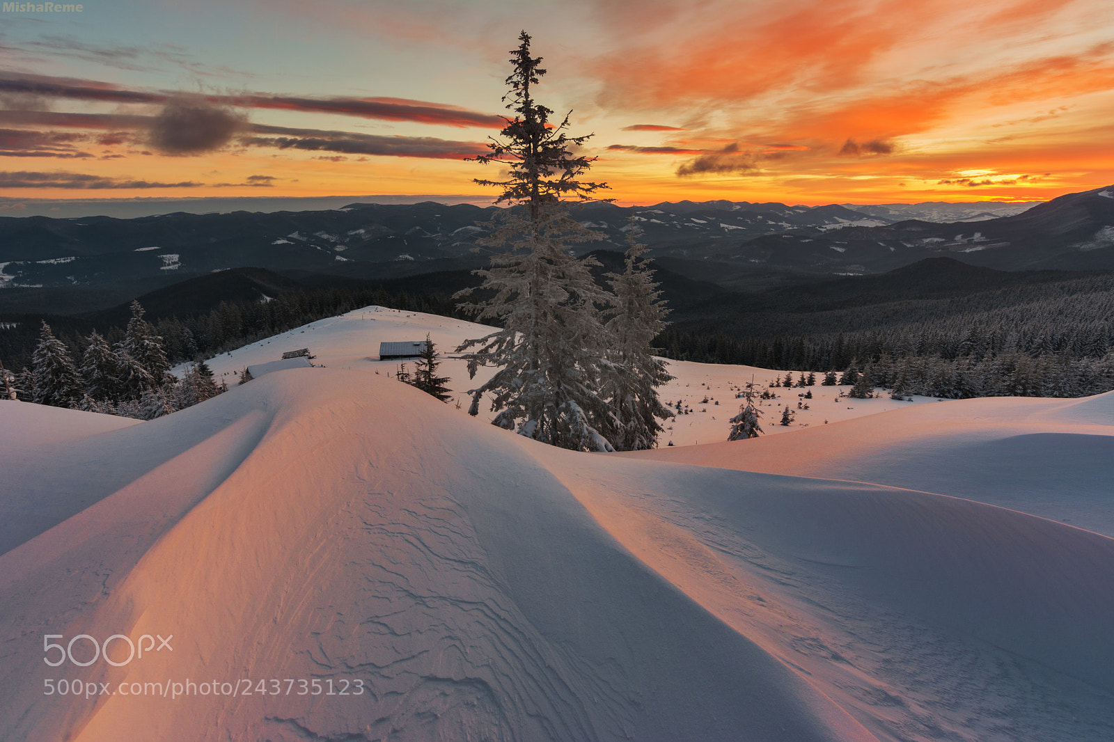 Nikon D7100 sample photo. Winter morning photography