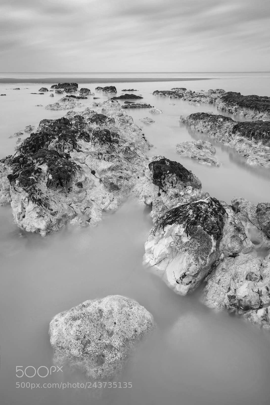 Nikon D800 sample photo. Stunning black and white photography