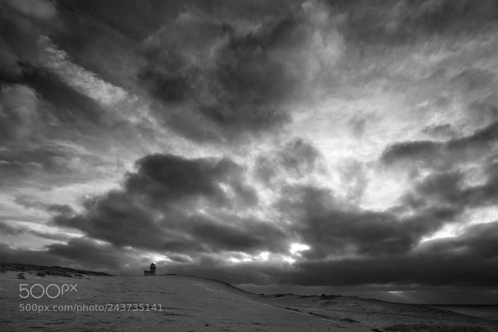 Nikon D800 sample photo. Stunning black and white photography