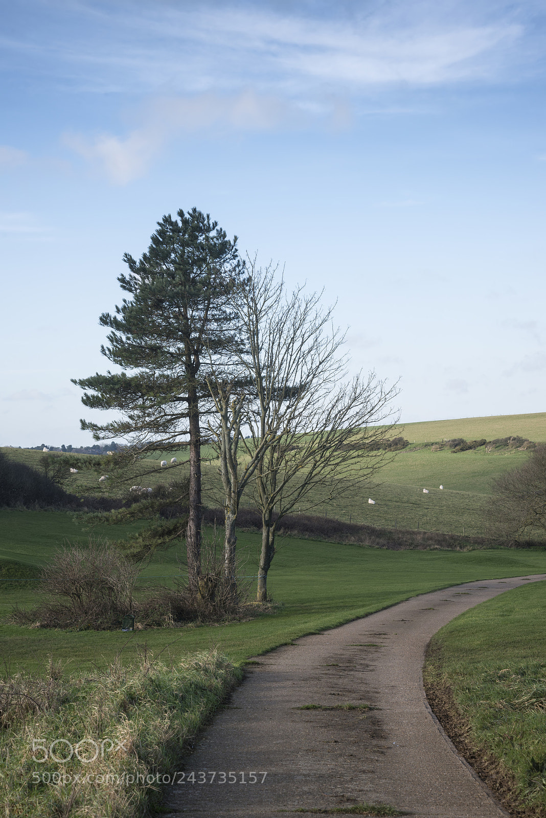 Nikon D800 sample photo. Beautiful vibrant landscape image photography