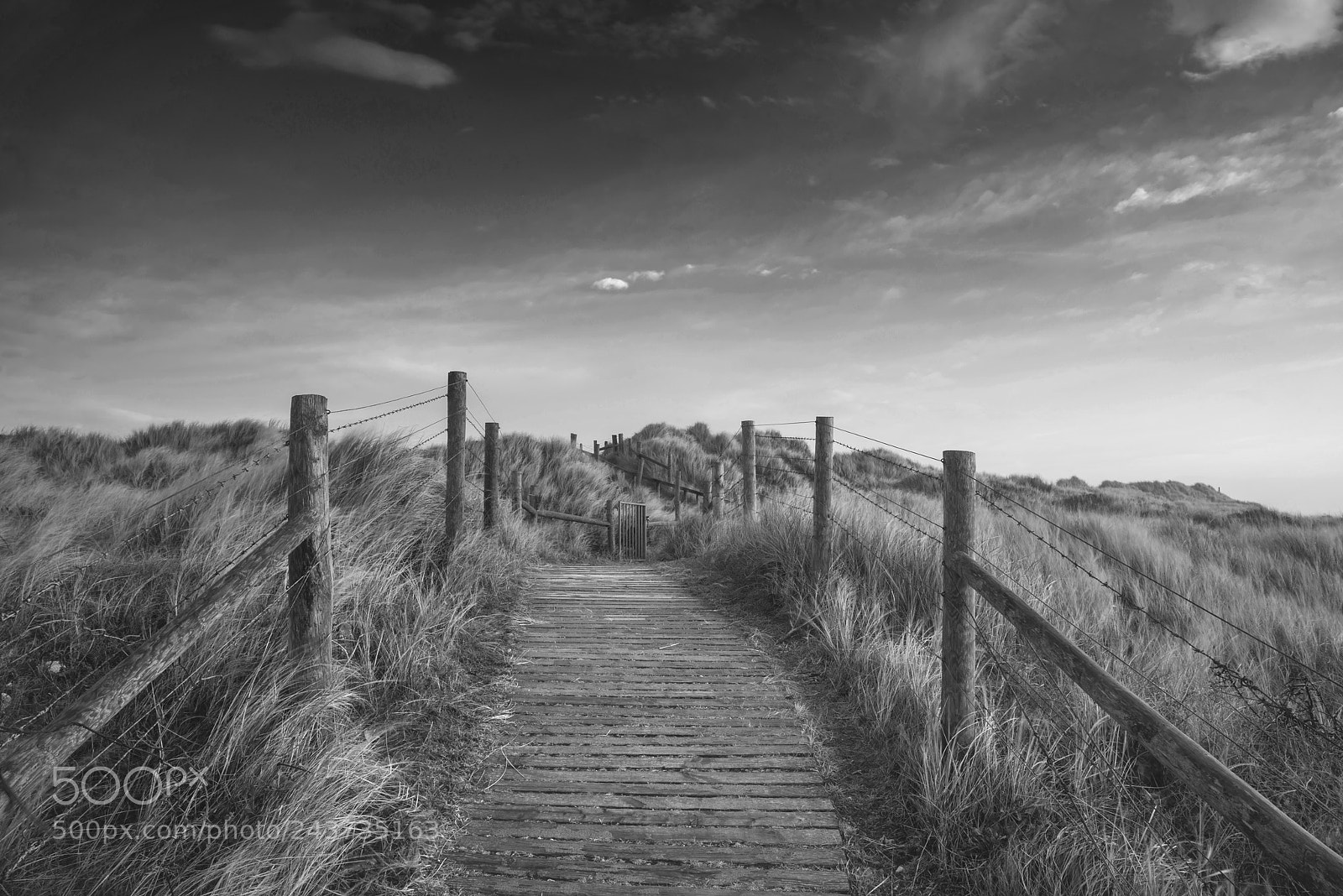 Nikon D800 sample photo. Beautiful black and white photography
