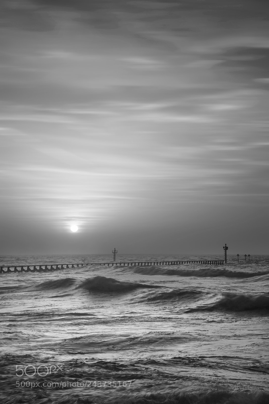 Nikon D800 sample photo. Beautiful dramatic black and photography