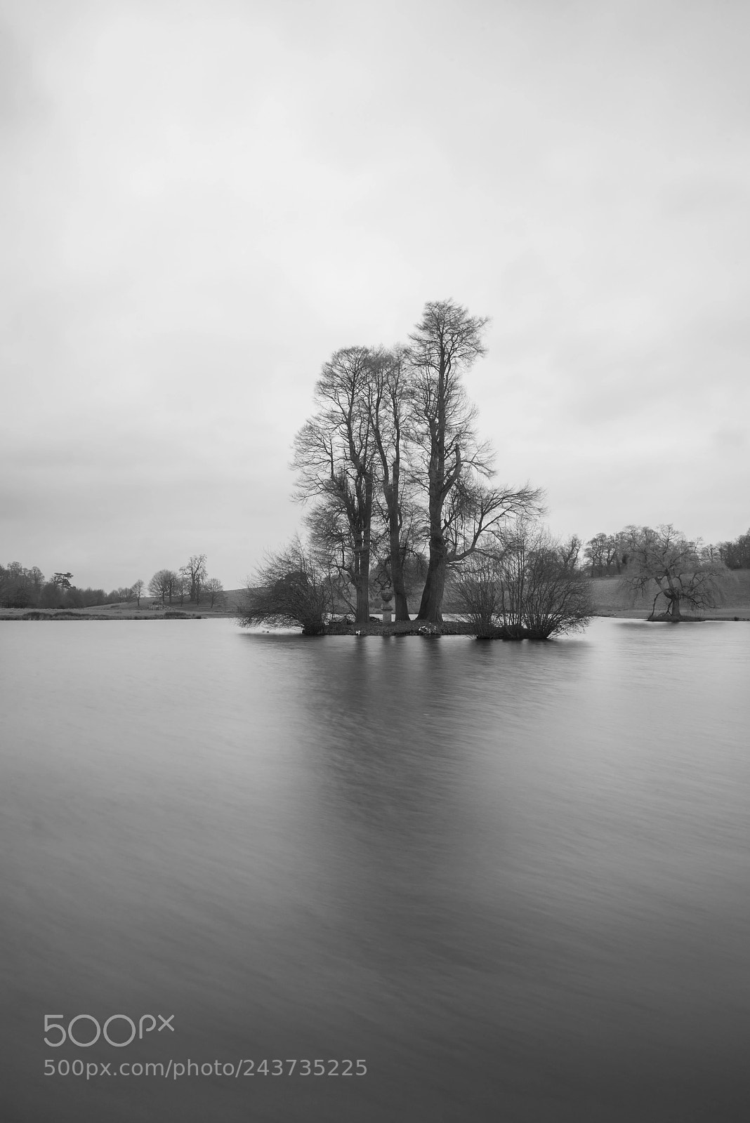 Nikon D800 sample photo. Beautiful black and white photography