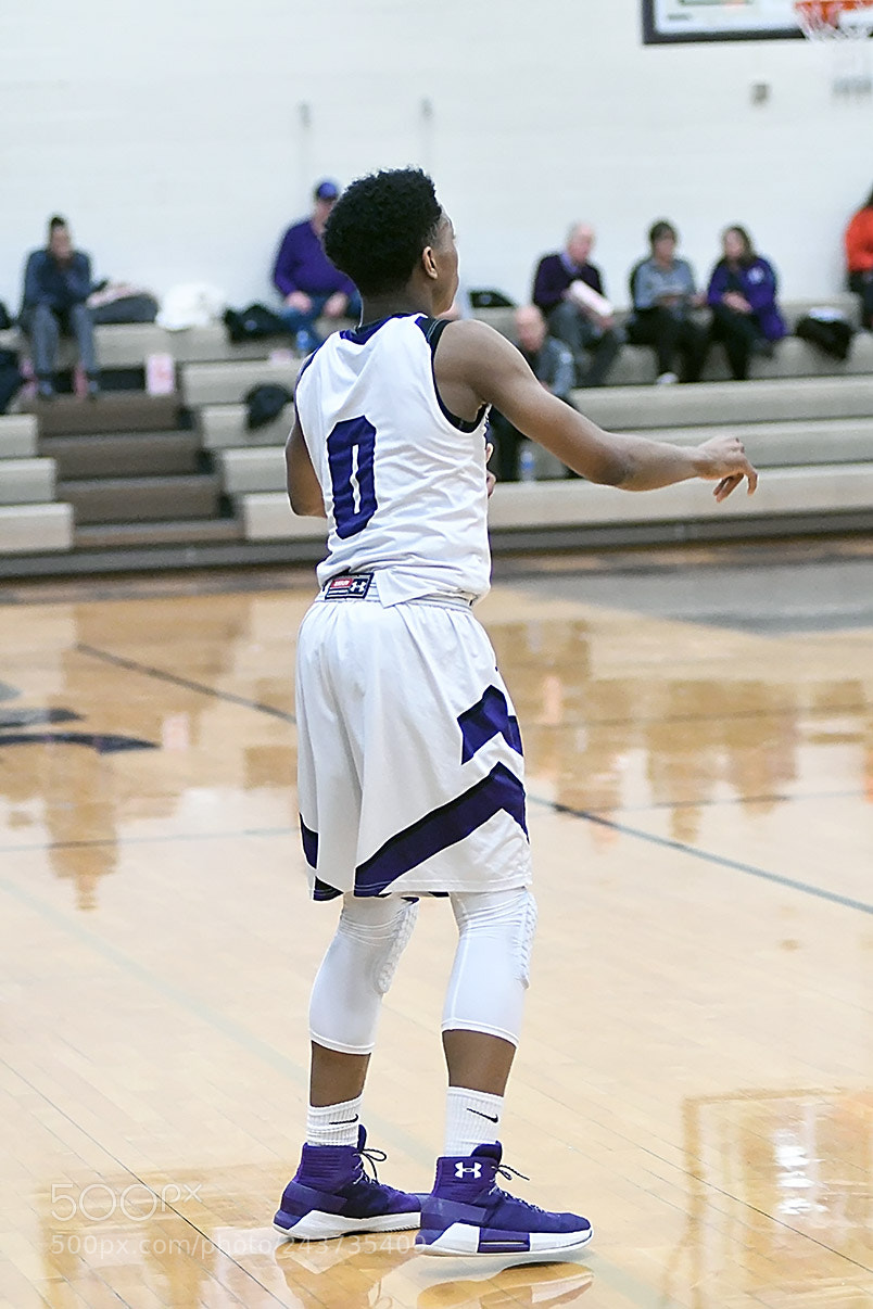 Nikon D500 sample photo. 1-20_0755.jpg photography