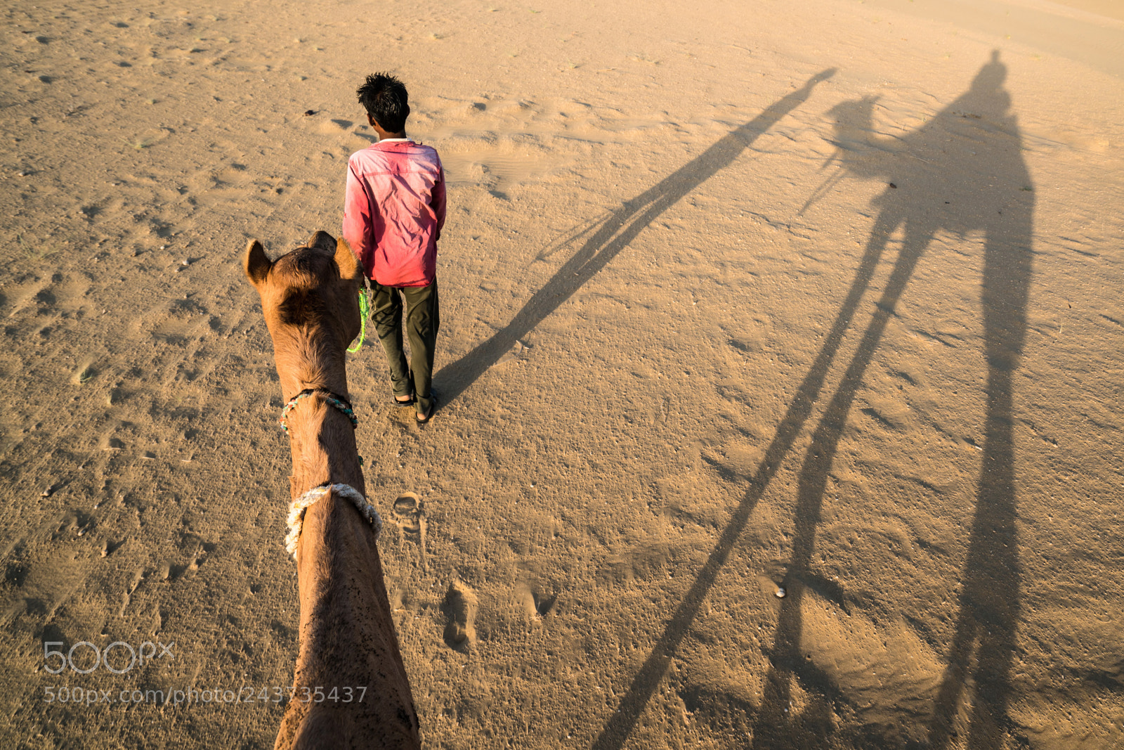 Sony a7R II sample photo. Thar travel photography