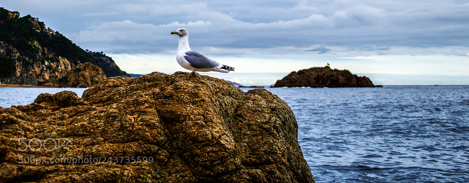 Pentax K20D sample photo. Spain "2009 photography