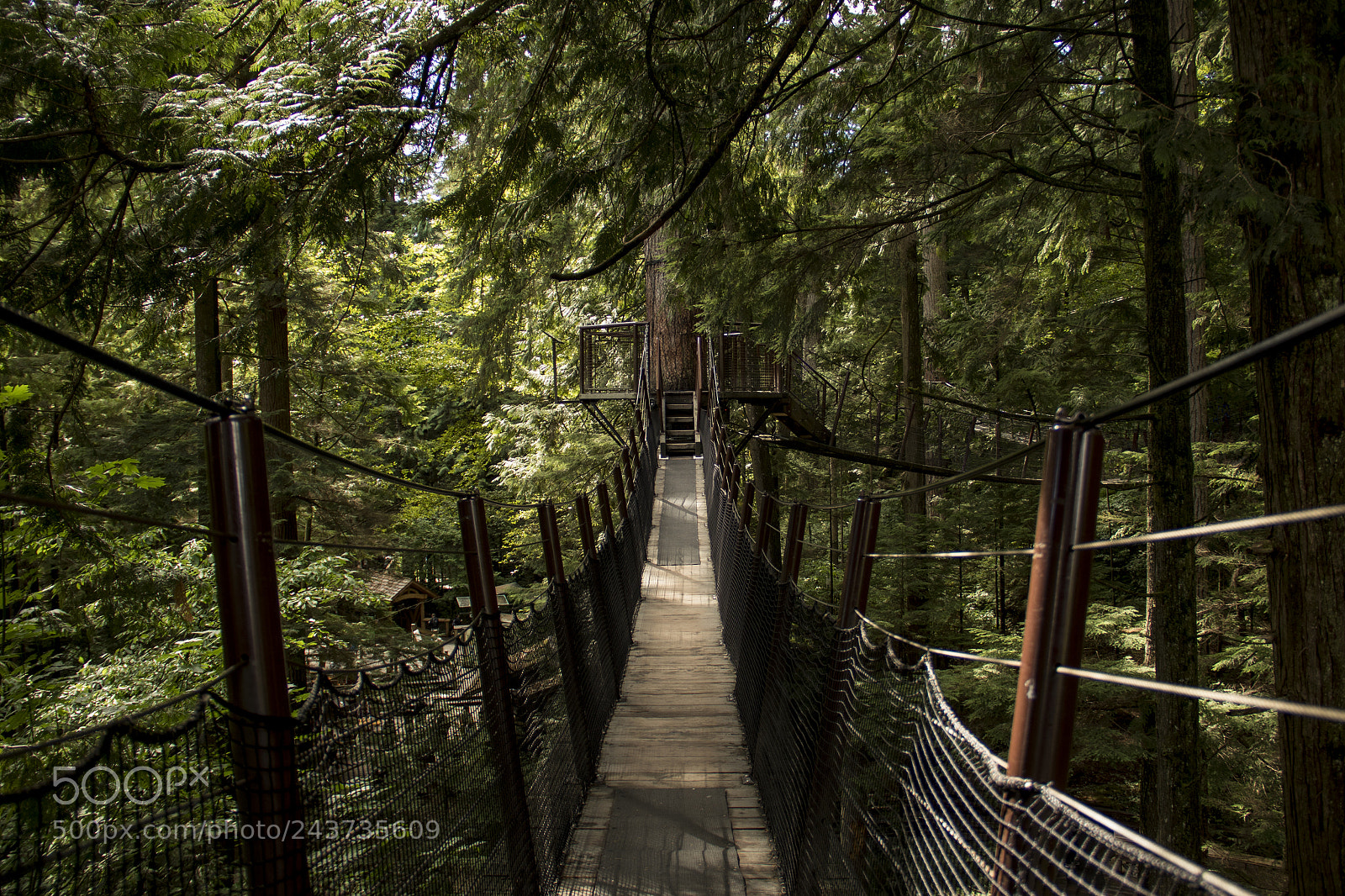 Canon EOS 7D Mark II sample photo. Abowe the forrest photography