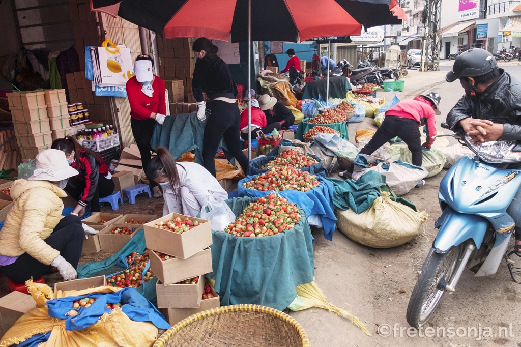 DSCF4965 by www.fretensonja.nl on 500px.com