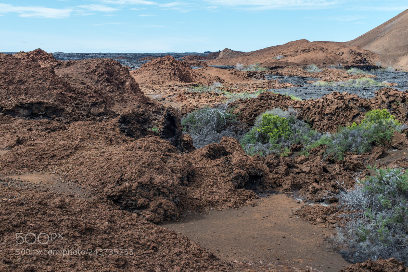 Nikon D610 sample photo. Lava field on james photography