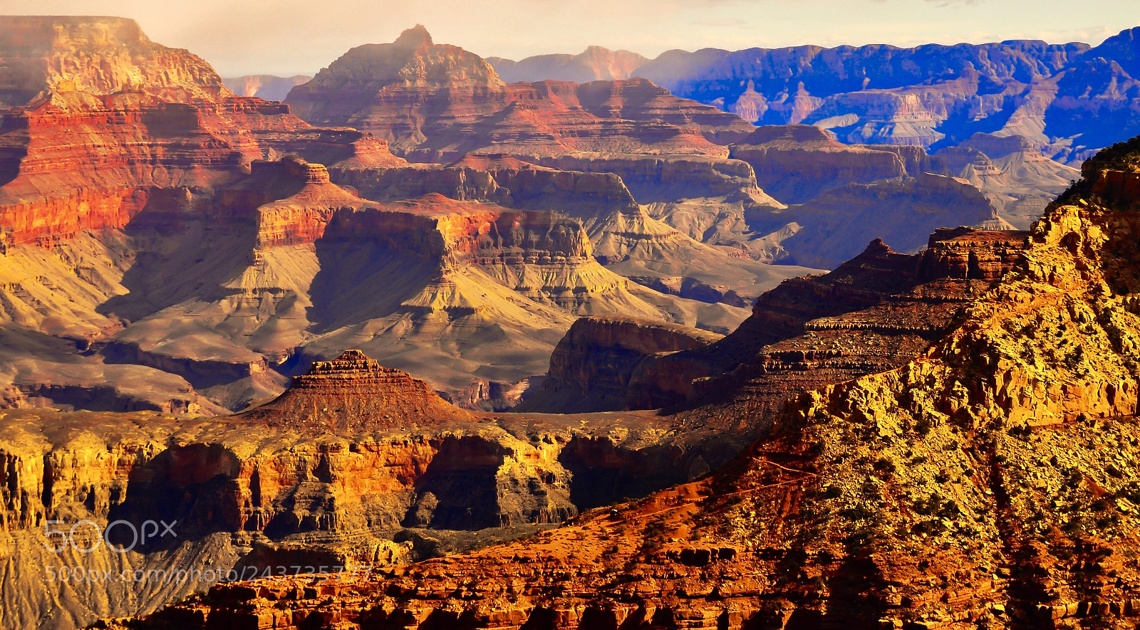 Nikon D5100 sample photo. Grand canyon, a view photography