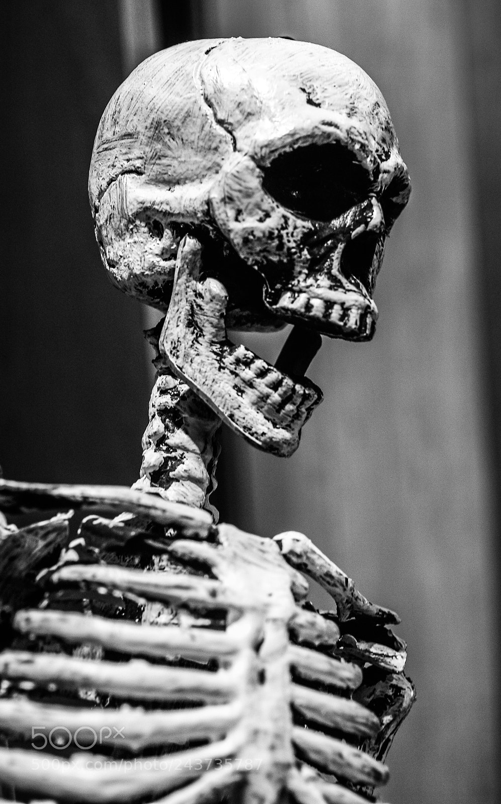 Pentax K20D sample photo. Spain "2009 photography