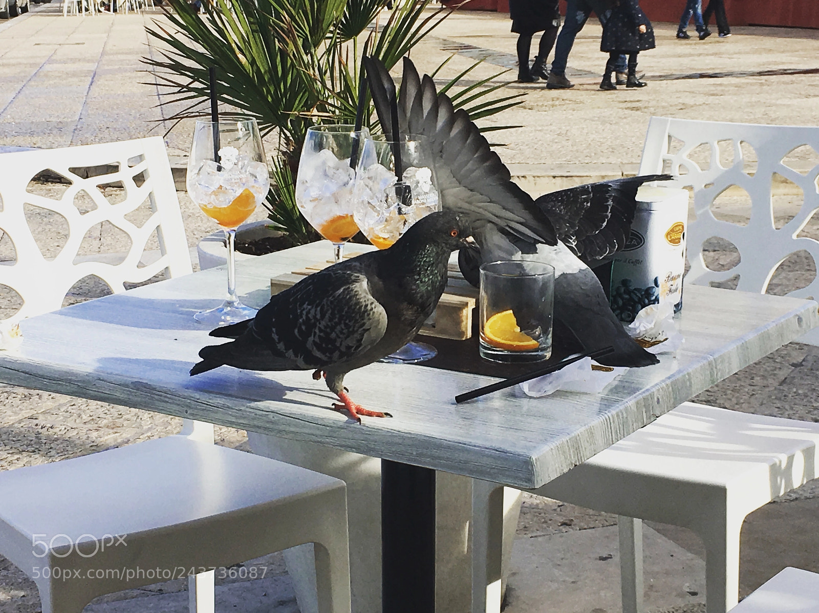 Apple iPhone 6s sample photo. Aperitivo scroccato  photography