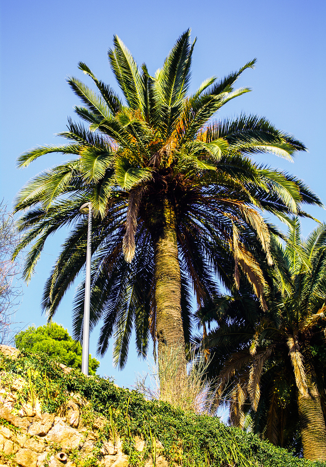 Pentax K20D sample photo. Spain "2009 photography