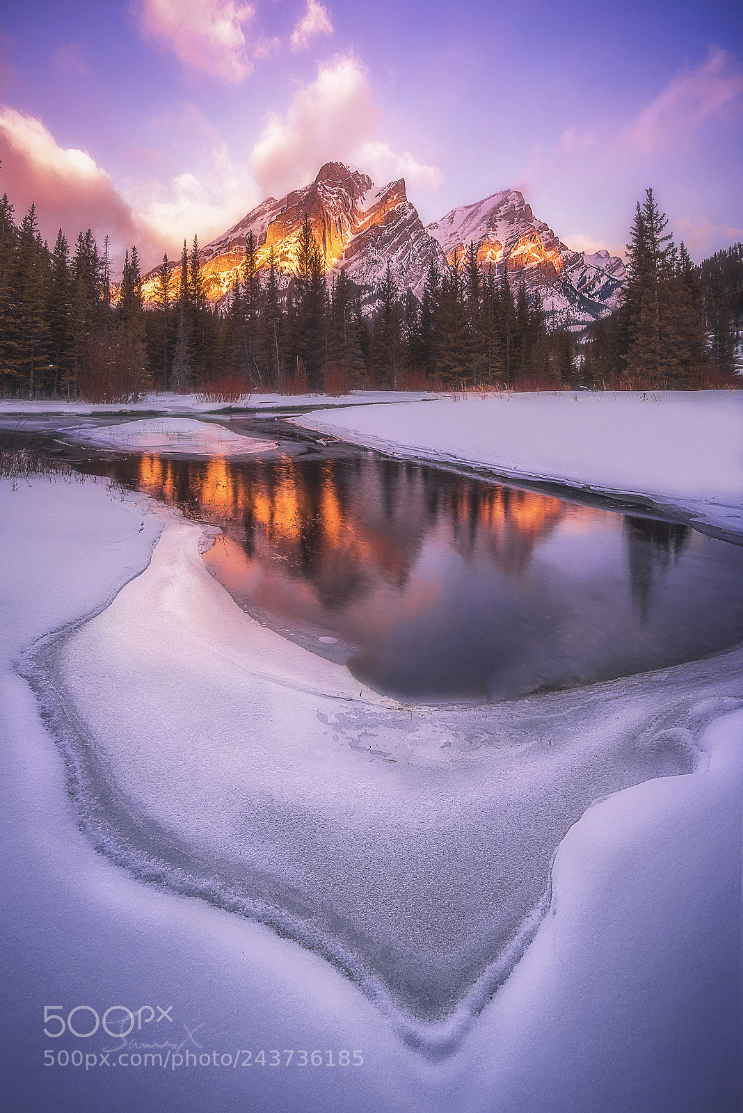 Nikon D810 sample photo. Snow mountain on fire photography
