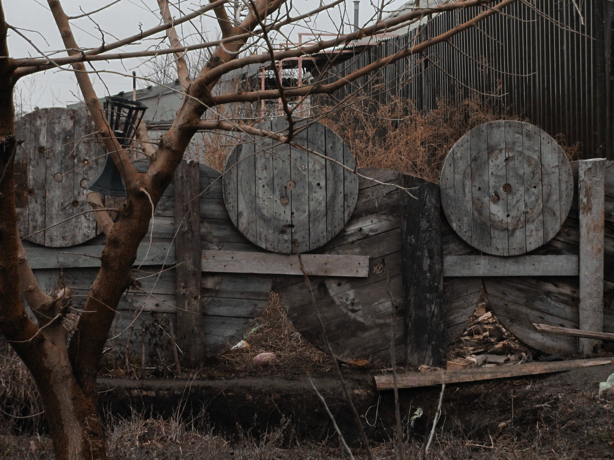 Canon PowerShot SX120 IS sample photo. Red winter photography