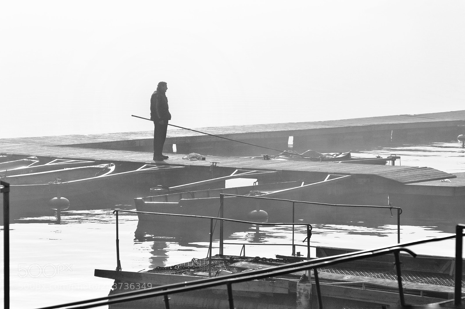 Canon EOS 550D (EOS Rebel T2i / EOS Kiss X4) sample photo. In the fog.. photography